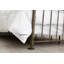 Budapest Goose All Season Down Comforter-1472851072