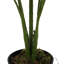 Artificial Palm Tree in Pot