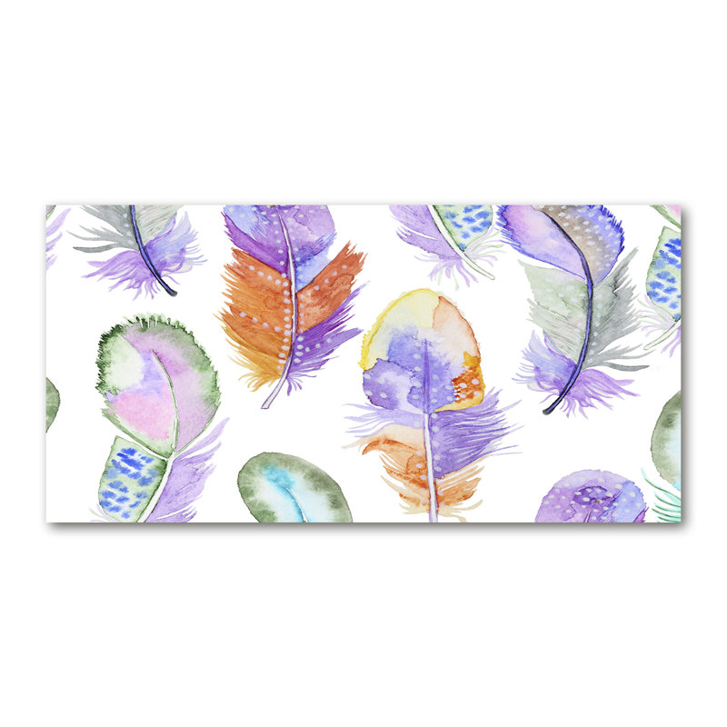 Colourful Feathers 50cm x 100cm Glass Panel
