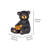 BEAR CUB HOLDING SUNFLOWER