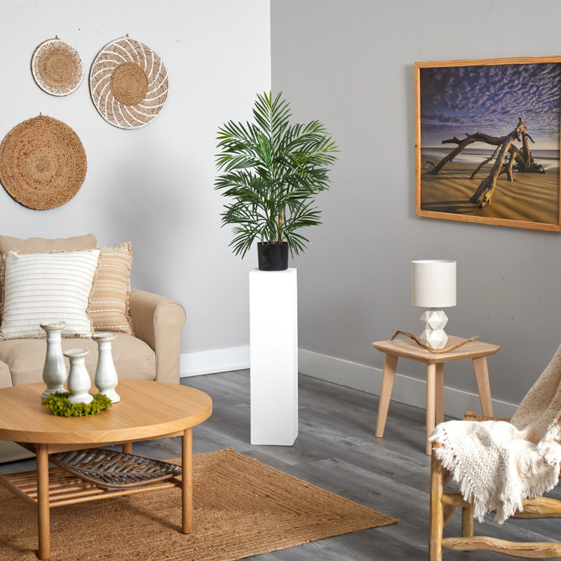 Areca Palm Tree in Pot, 30" H x 24" W x 24" D