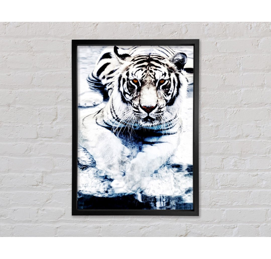 White Tiger Stare - Einzelner Bilderrahmen Kunstdrucke auf Leinwand