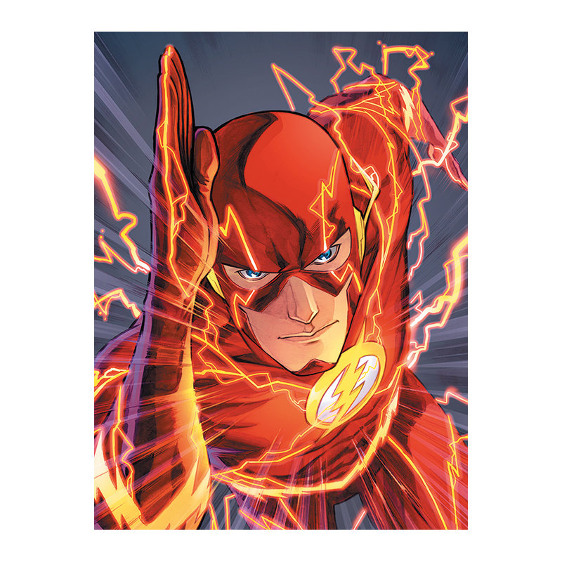 The Flash Graphic Art Print on Canvas