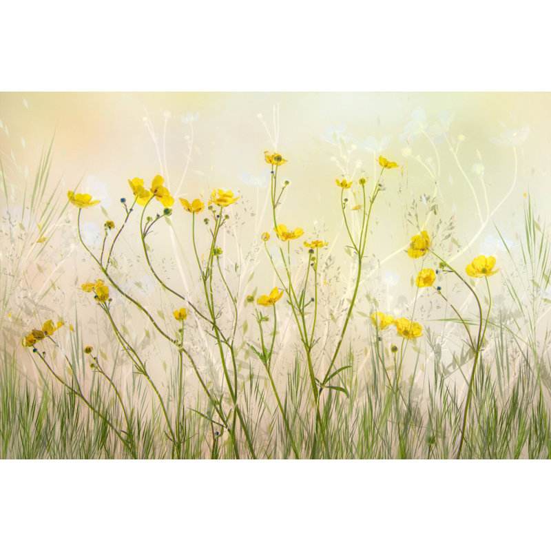 Wrapped Canvas Print, 50.8 cm H x 76.2 cm W