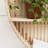 Wyat 2 Piece Circle Accent Shelf with Live Edge