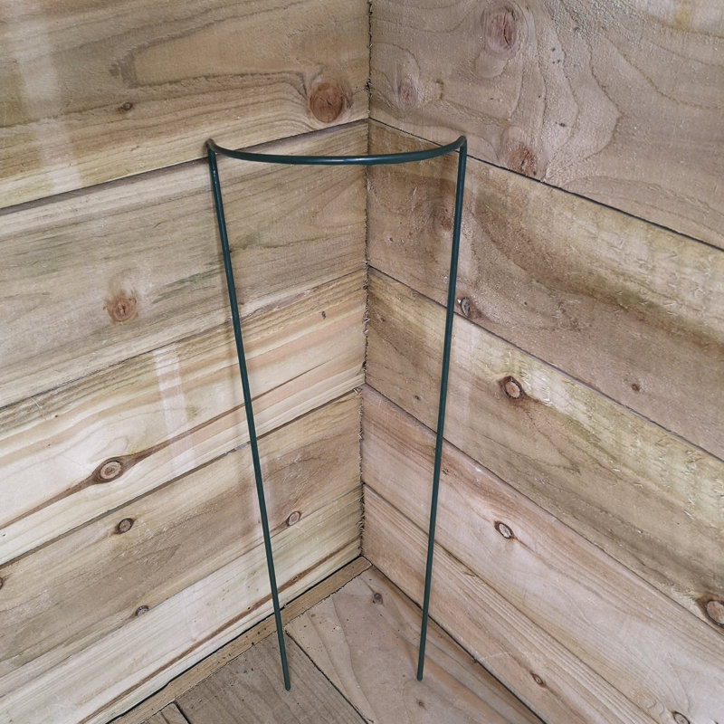 Caziyah Metal Plant Support