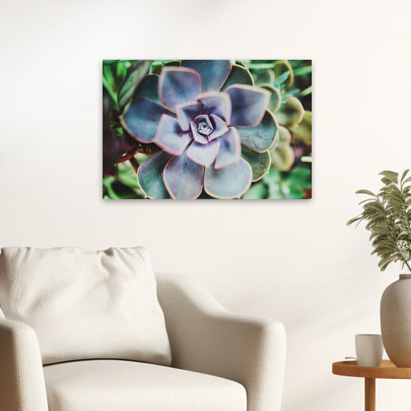 Plantes, fleurs, paysage, nature, beauté succulente, art mural, H 16 po x l 24 po