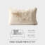 Ensemble de 1 housse de coussin de luxe en fausse fourrure de chinchilla de luxe, 20 po x 20 po-125421071-125421074