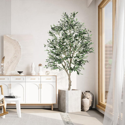180cm Plant