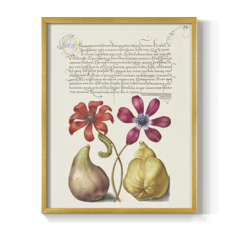 Reproduction encadrée de Hoefnagel, «Tropical Specples» - bois massif, H 21 po x l 17 po, Doré