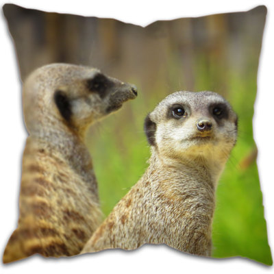 Audio Square Cushion