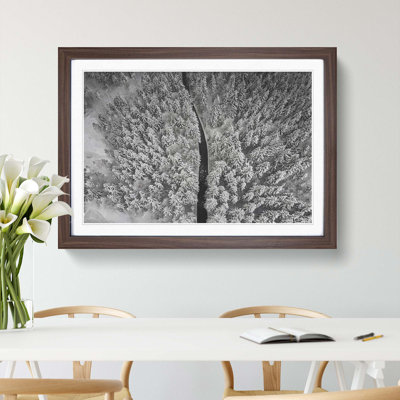 In a Winter Forest - Framed Print