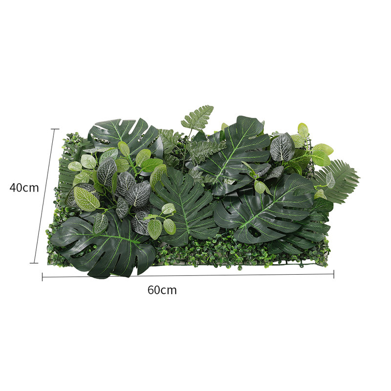 60cm Plant