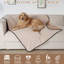 Rooke Pet Blanket-809527598