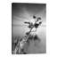 « water tree v » par moises perception-reproduction de photo-49905339-49905324
