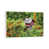 White Floater Framed is unavailable