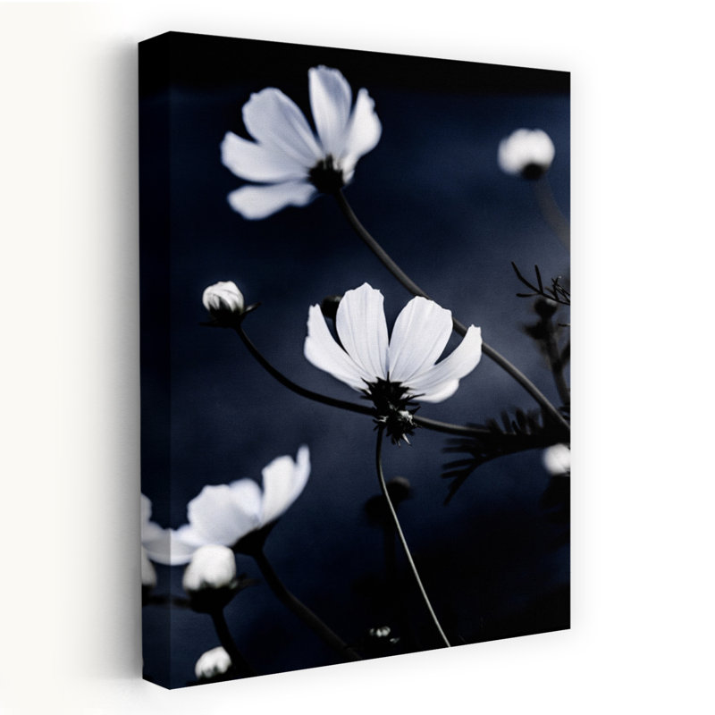 Wild Flowers 1 Contemporary Flower Wall Art Print