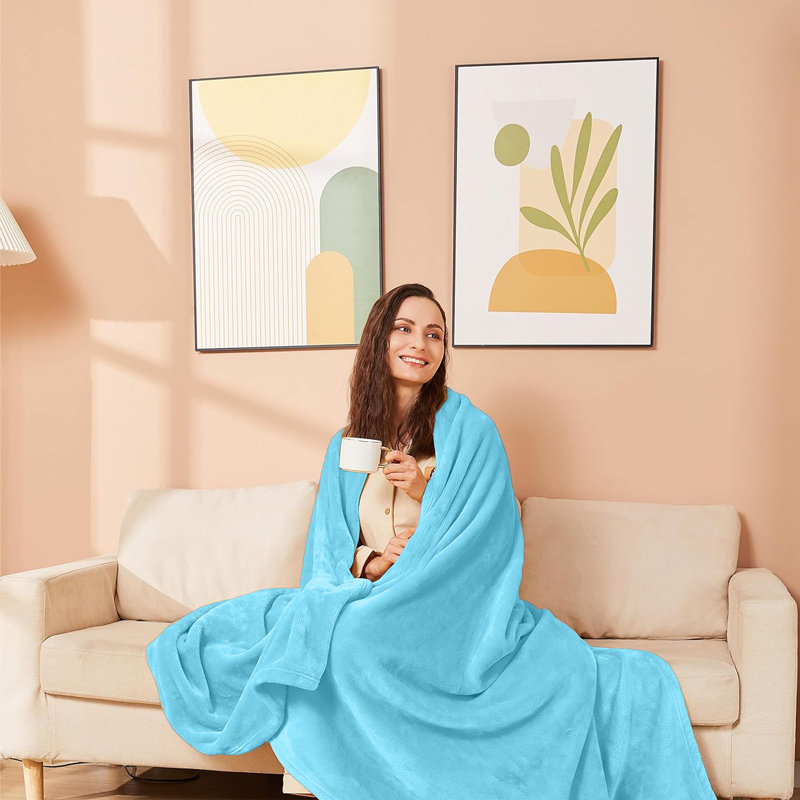 Adamczyk Soft Touch Mink Faux Fur Plush Sofa Throw/Blanket , Light Blue, 200cm x 240cm