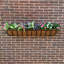 Alan-James Metal Wall Planter