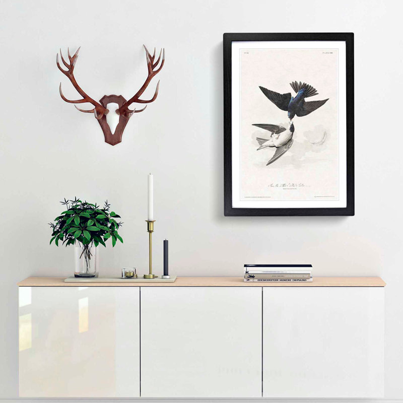 White-Bellied Swallow by John Audubon - Picture Frame Art Prints, 65cm H x 48cm W x 2cm D, Black Framed