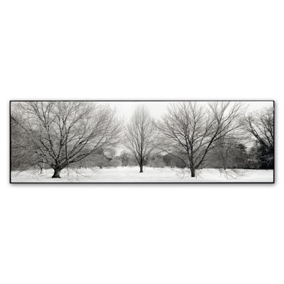 «Winter Garden I» par Alan Blaustein - reproduction de photo sur toile