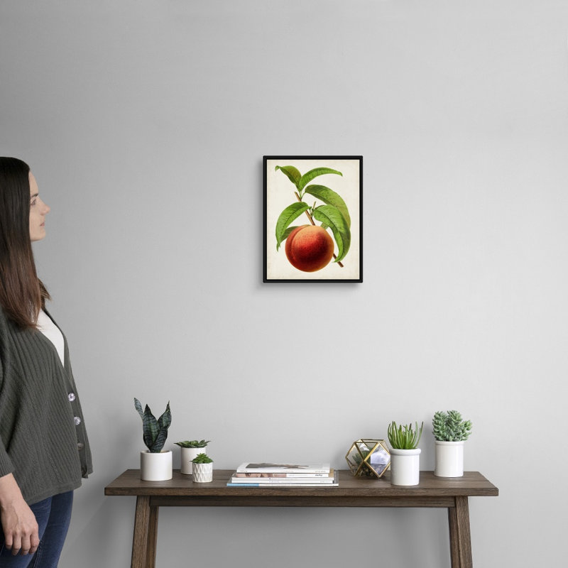 Antique Fruit V - reproduction d'art sur toile, H 15,7 po x l 12,7 po x P 1,75 po, Cadre flottant noir
