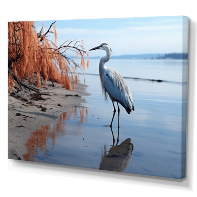 " Heron Morning Stroll "