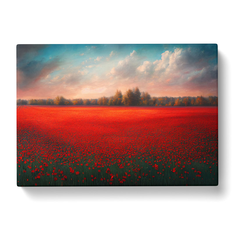 Fascinating Poppy Field Flowers - Wrapped Canvas, 40cm H x 60cm W x 3cm D
