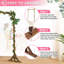 Tonnelle en bois massif et manufacturé-90398588-90398587