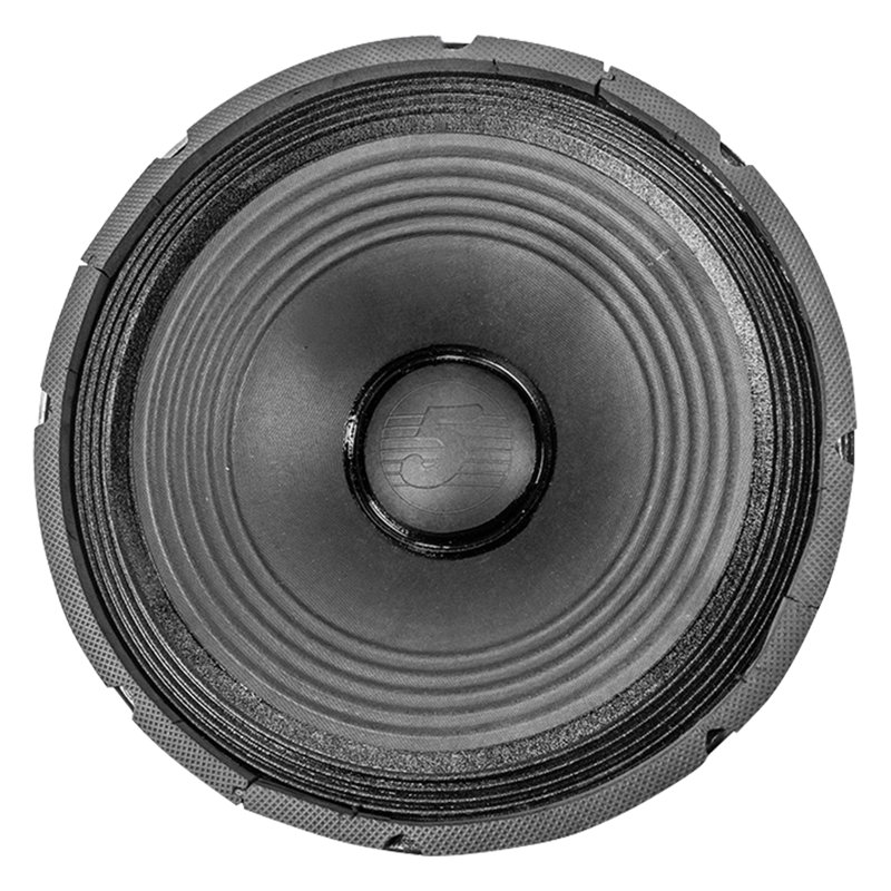 Haut-parleur de caisson de basses 15 pouces