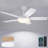 52 Inch 5-blade Ceiling Fans With Lights And Remote Control-1303327004