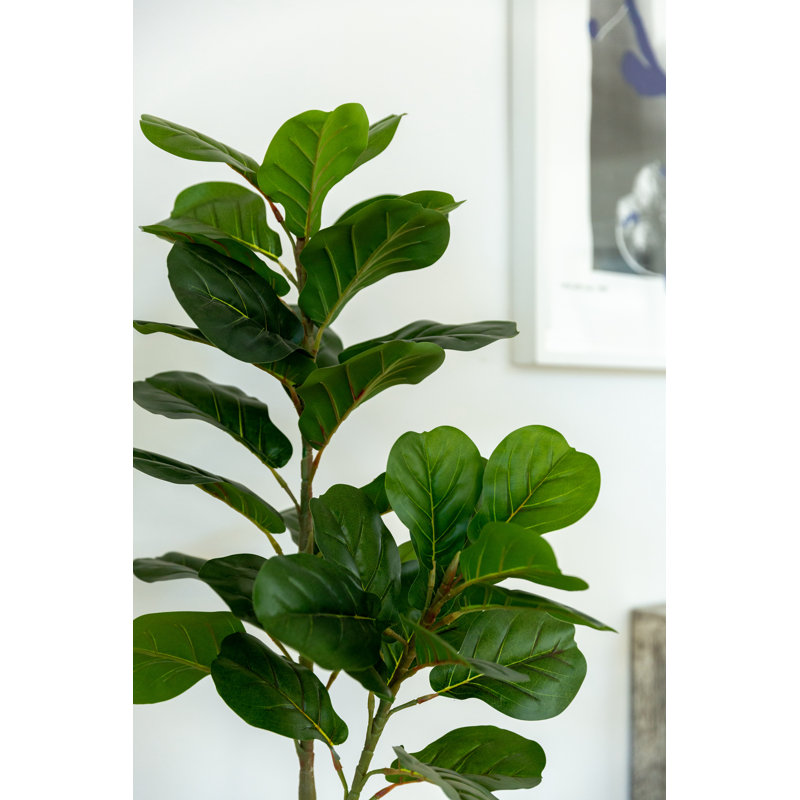 45.75 " H Faux Fiddle Leaf Fig Tree in Ceramic Planter