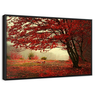 Arbre rouge en automne