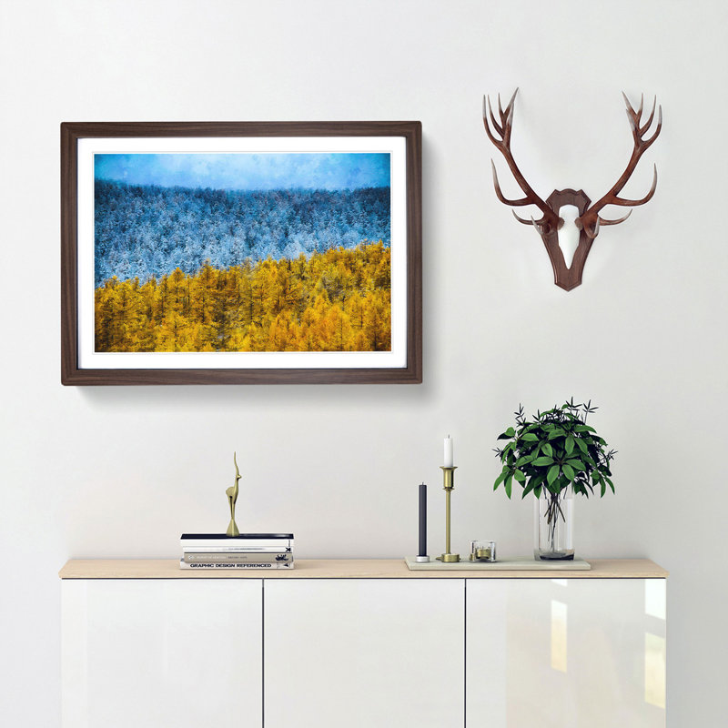 The Two Forests - Picture Frame Graphic Art Print, Walnut Framed, 45cm H x 63cm W x 2cm D