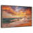 Floating Frame Walnut