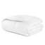 All Season Down Comforter-45199487