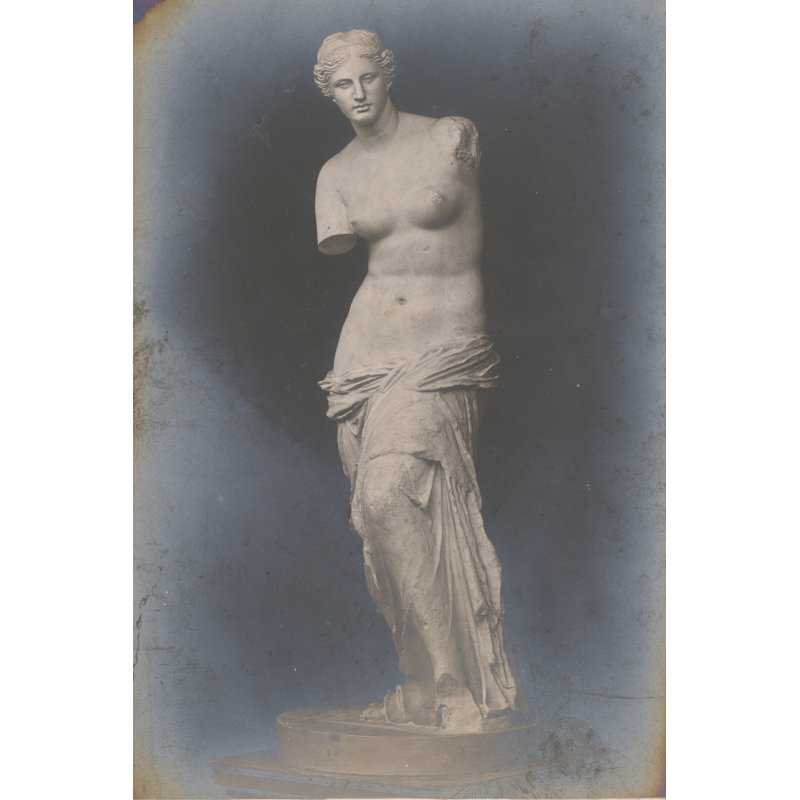 La Venus De Milo Crop by Wild Apple Portfolio - Wrapped Canvas Print, 122cm H x 81cm W