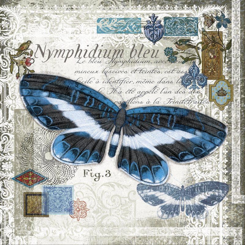 Butterfly Artifact III by Alan Hopfensperger - Wrapped Canvas Print, 51cm H x 51cm W