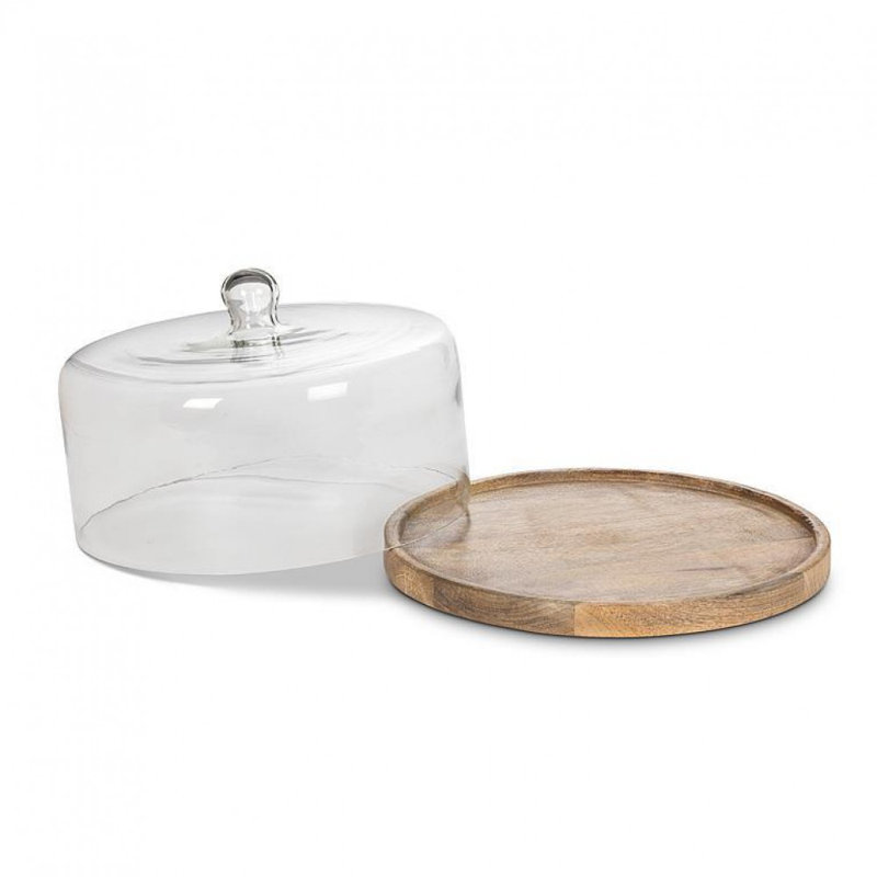Large Covered Cheese/Cake Cake Tray