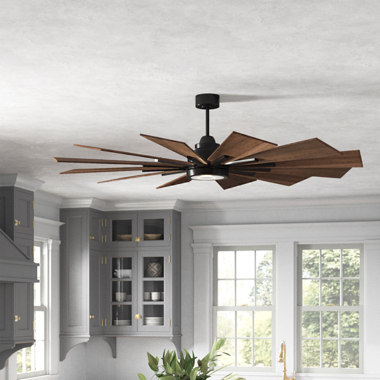 Archibald 60'' Ceiling Fan with LED Lights