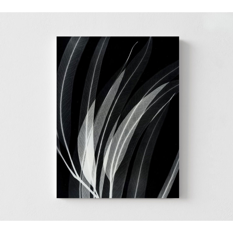«Eucalyptus 2» par Albert Koetsier, reproduction botanique en noir et blanc, affiche d'eucalyptus, œuvre d'art de remodelage de sous-sol, art mural de couloir