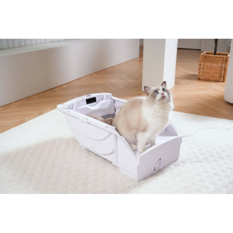 Litière pour chat Smart Smart