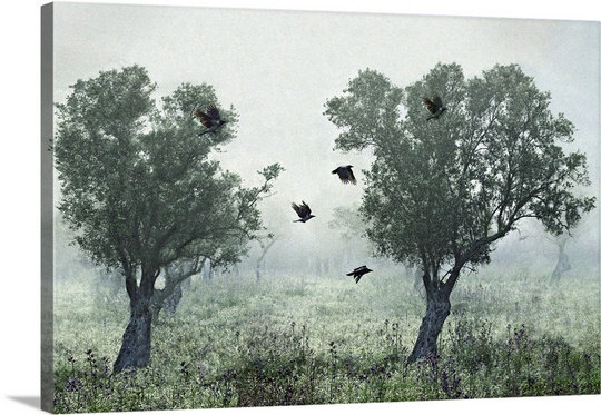 « amer », reproduction de photo sur toile en pattes., 20 po x 30 p