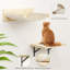 Modern Cat Climber - 5 pièces murales beige, avec tablettes, perchoirs et plus