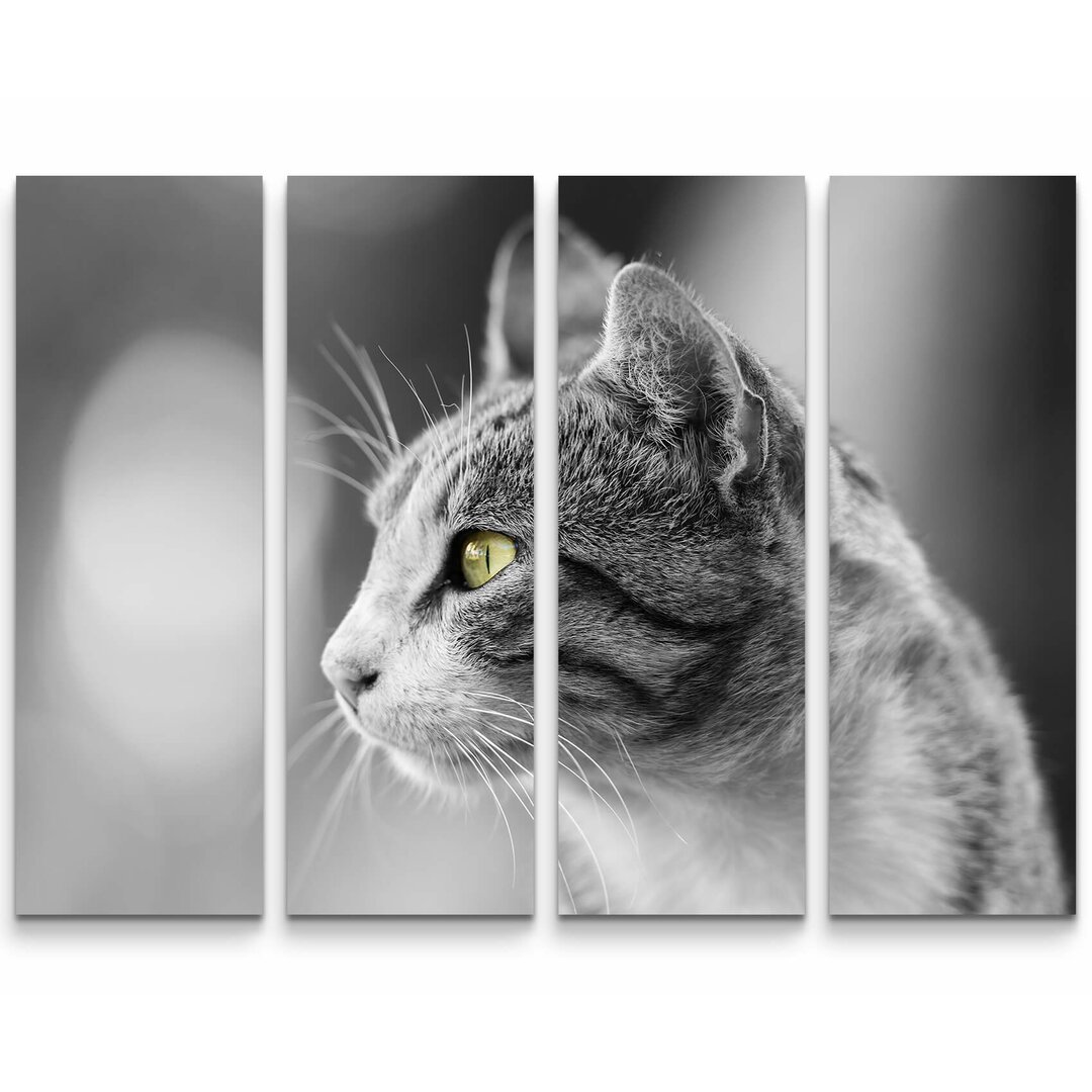 4-tlg. Leinwandbilder-Set Graue Katze Portrait