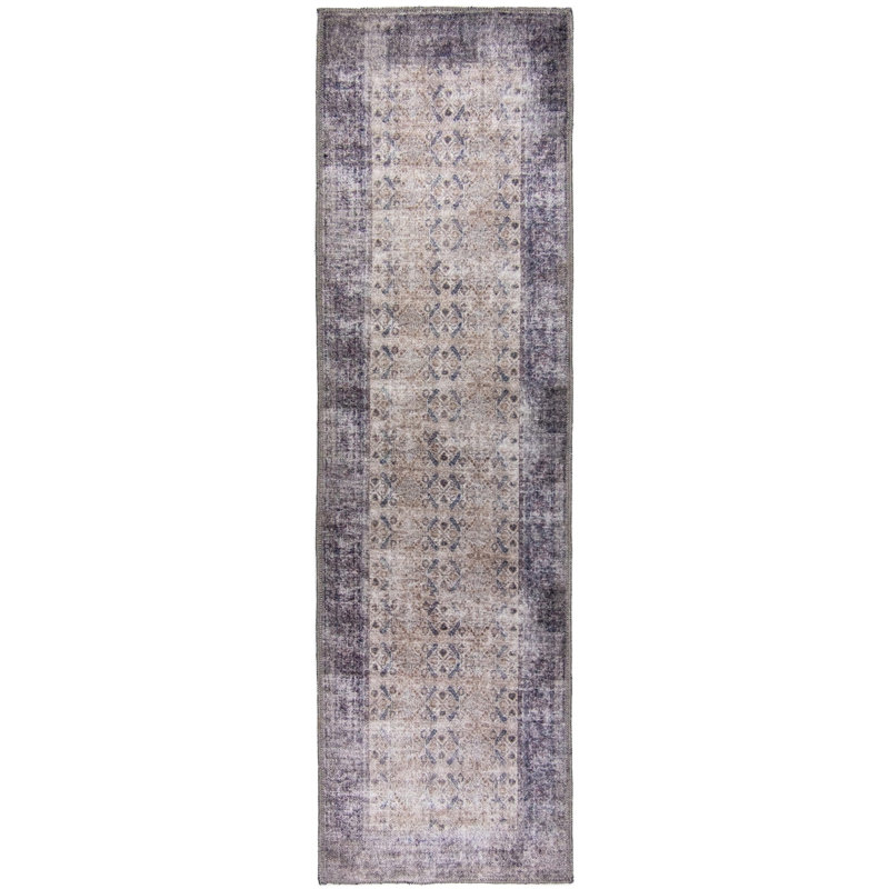 Jessiel Washable Oriental Indoor Rug, Runner 2' x 6'