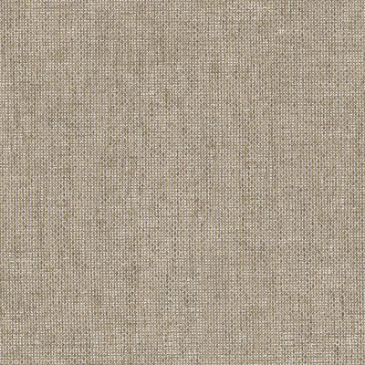 Italian Textures 4 Intreccio Congo Wallpaper