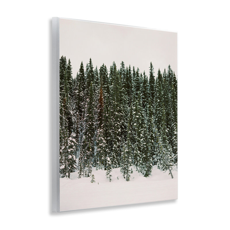 «Winter Forest Grove» par Justine Milton