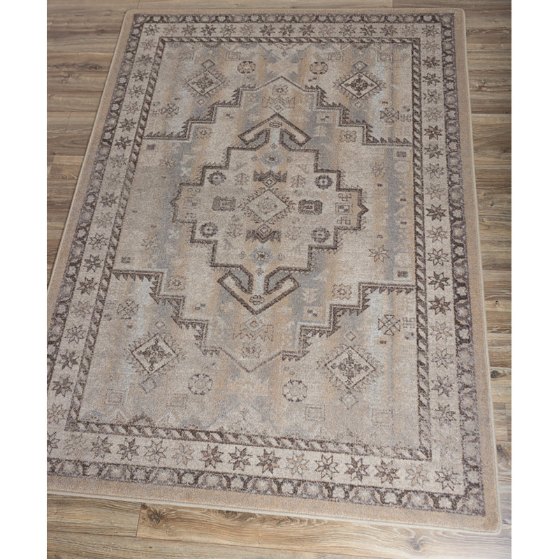 Sydney Southwestern Indoor Rug, Rectangle 3' x 4'