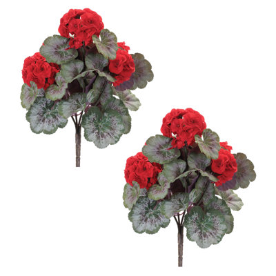 Geranium Floral Bush